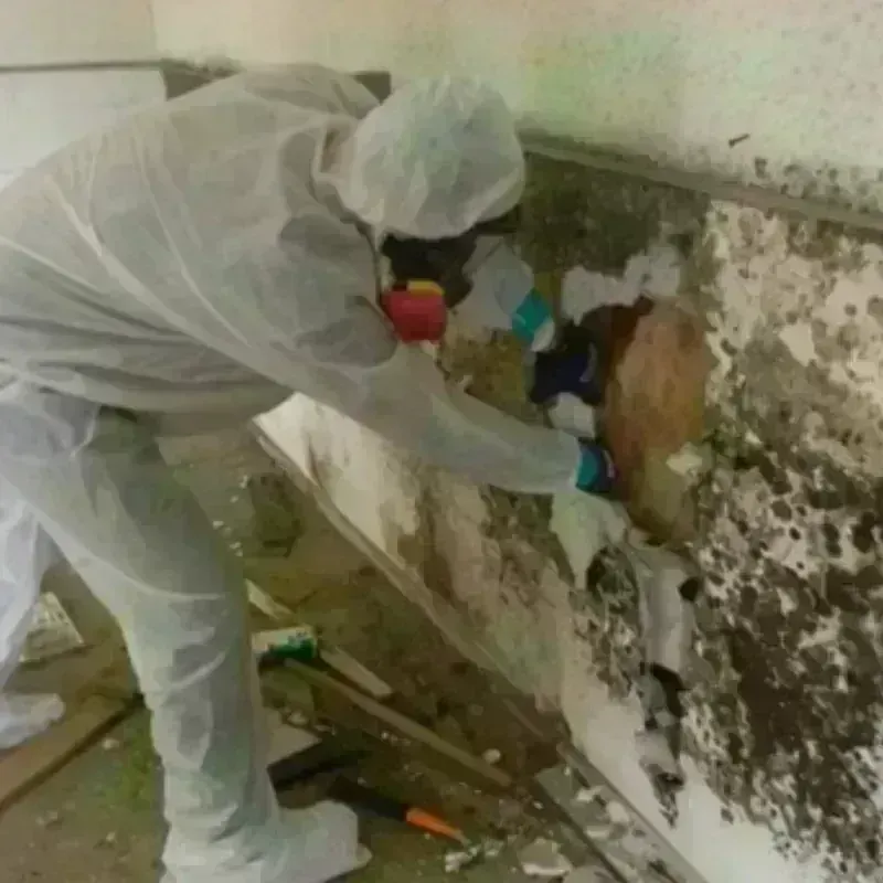 Mold Remediation and Removal in Fossil, OR