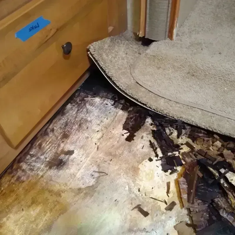 Wood Floor Water Damage in Fossil, OR